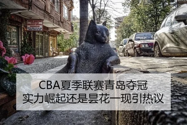 CBA夏季联赛青岛夺冠 实力崛起还是昙花一现引热议